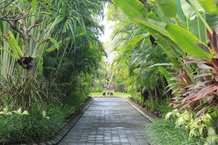 The Wolas Villa & Spa