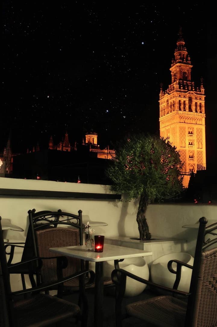 Hotel Palacio Alcazar