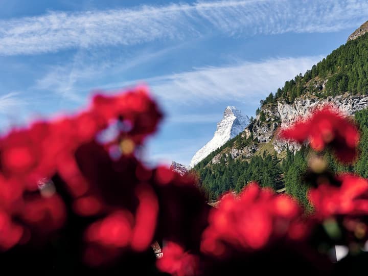 Hotel Ambassador Zermatt