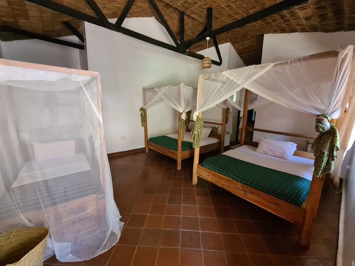 Honey Badger Lodge