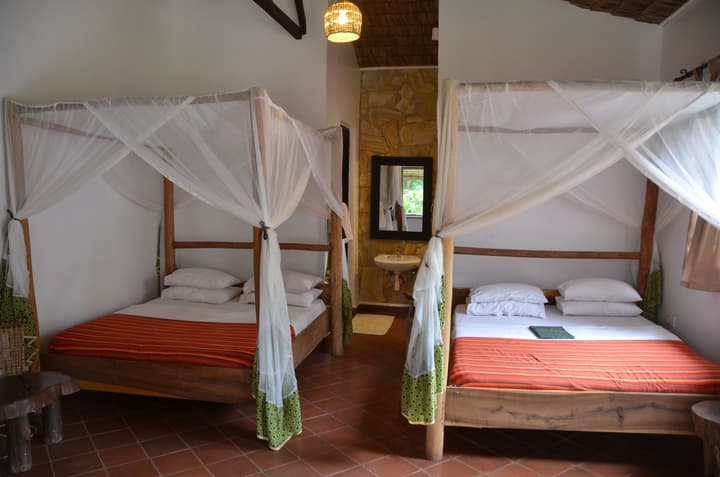 Honey Badger Lodge