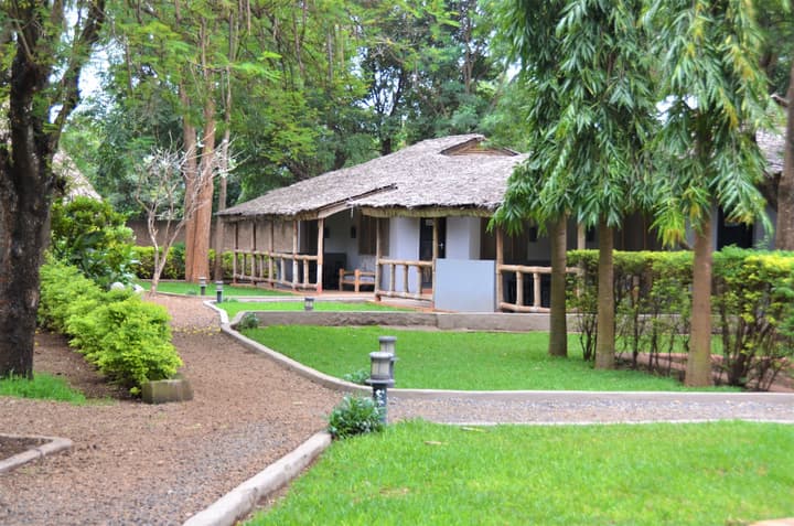 Honey Badger Lodge