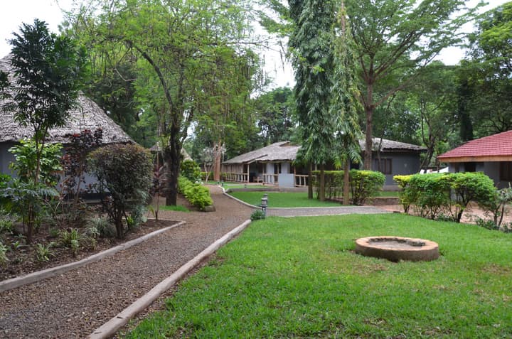 Honey Badger Lodge