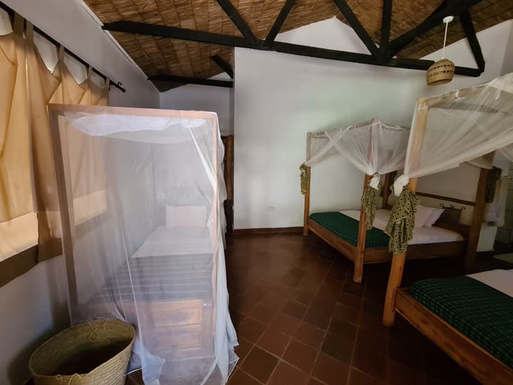 Honey Badger Lodge
