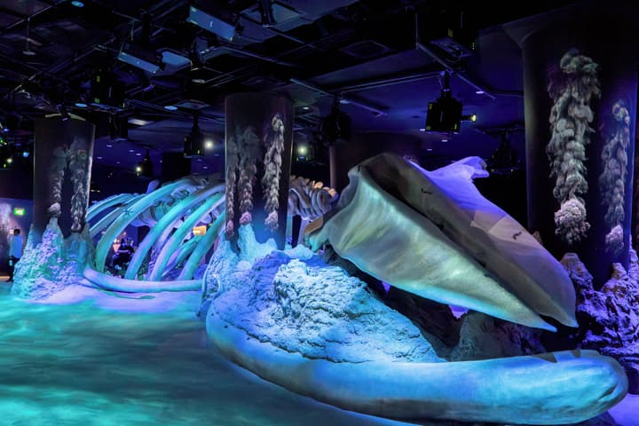 Resorts World Sentosa - Hotel Michael