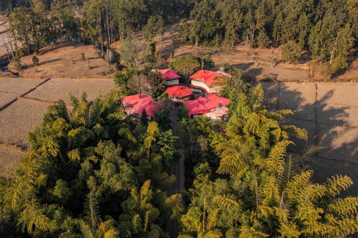 Grand Tiger Resort
