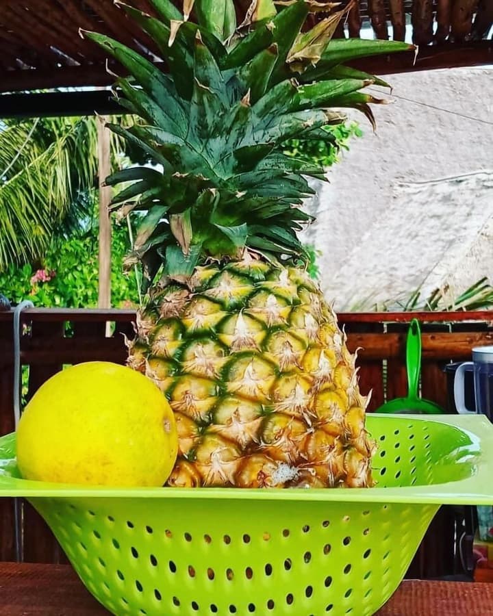 Tropicana Kendwa Beach Hotel