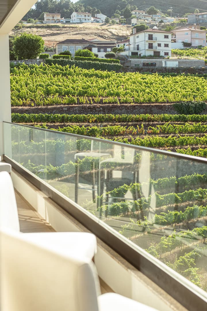 MW Douro Wine & Spa