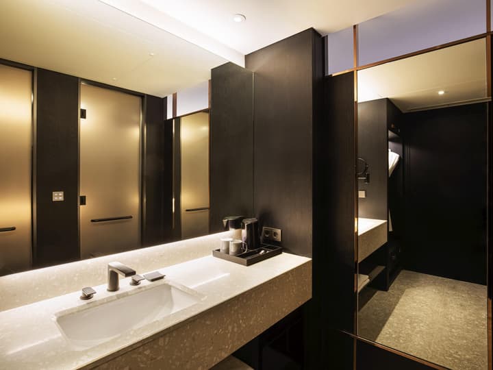 Mercure Ambassador Seoul Hongdae