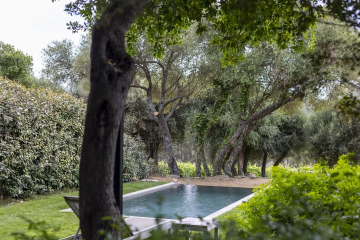 Domaine de Peretti della Rocca