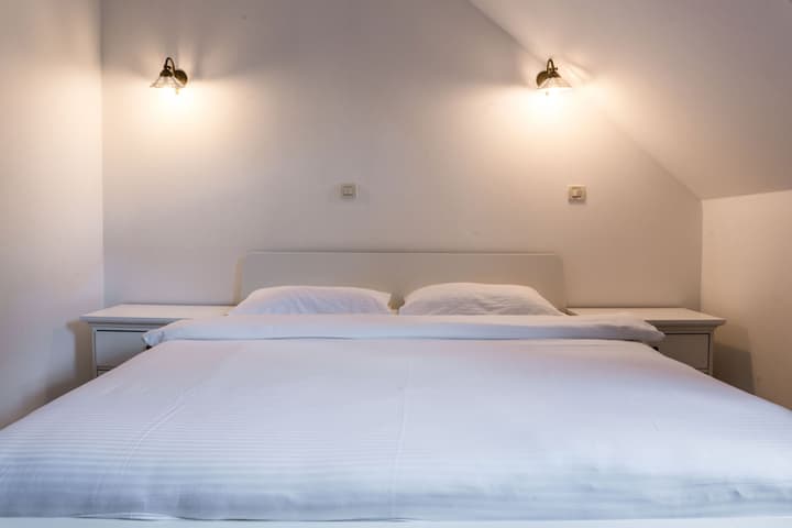 Hotel Morea