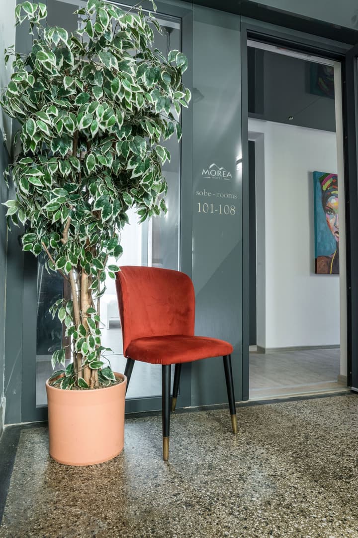 Hotel Morea