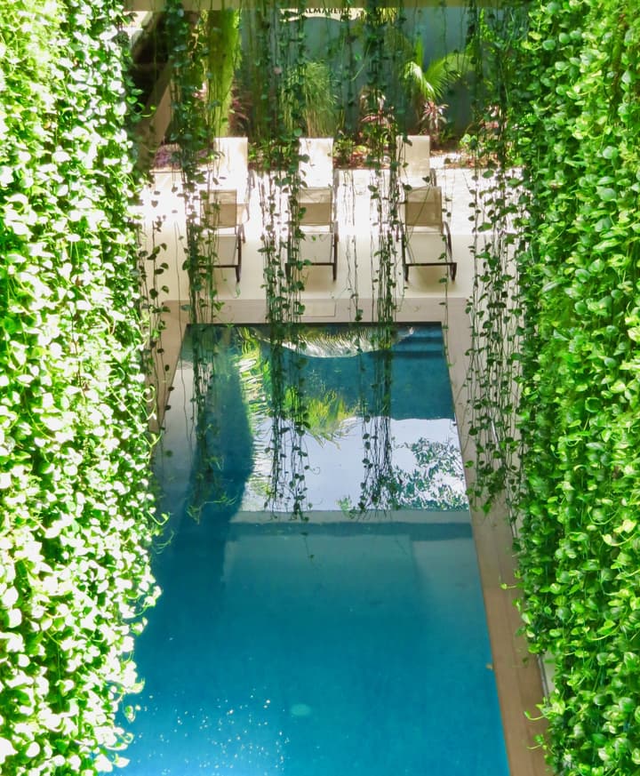 Palmarena Rooms and Residences - Long Stay Comfort with Parking, Sauna, Gym and Pool (Steps from 5th Avenue)