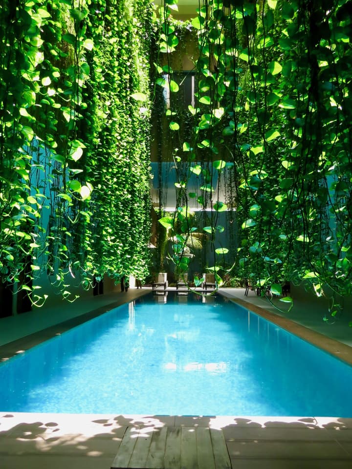 Palmarena Rooms and Residences - Long Stay Comfort with Parking, Sauna, Gym and Pool (Steps from 5th Avenue)