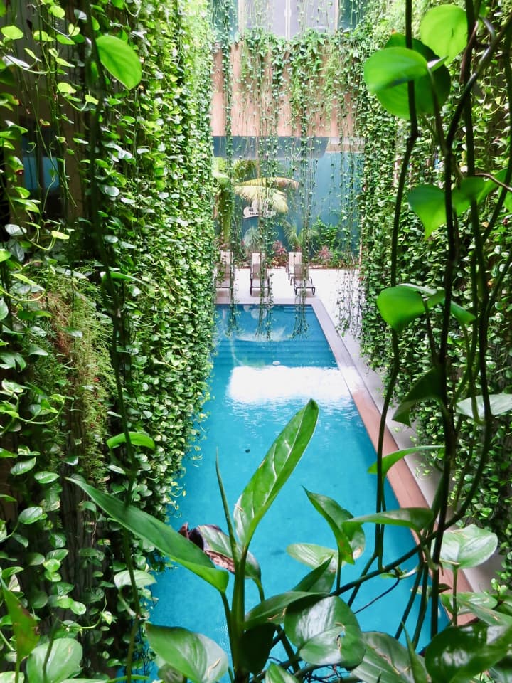 Palmarena Rooms and Residences - Long Stay Comfort with Parking, Sauna, Gym and Pool (Steps from 5th Avenue)