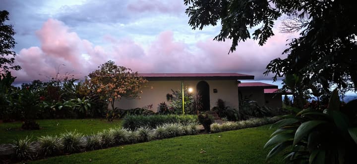 Yellow Tree Suites