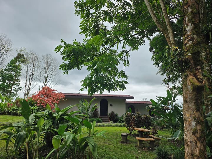 Yellow Tree Suites