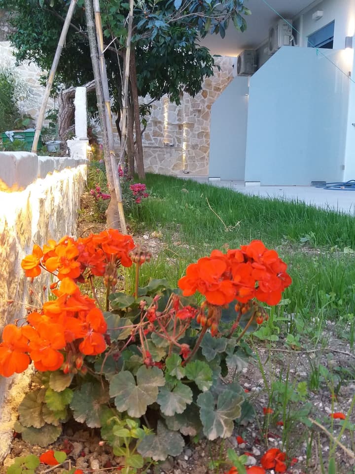 Akrotiri