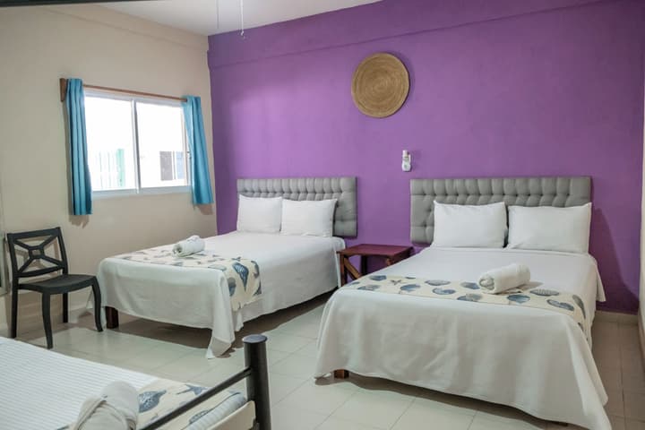 Hotel Pelicano
