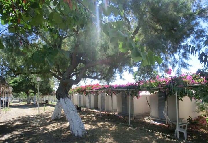 Santorini Camping & Hostel
