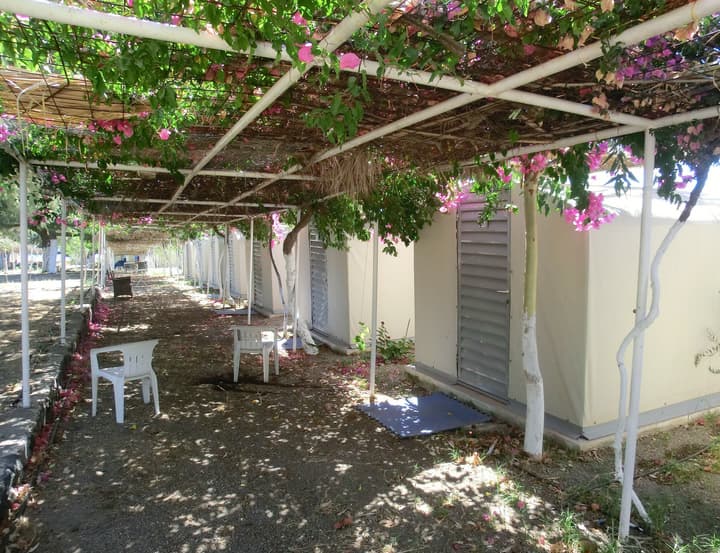 Santorini Camping & Hostel