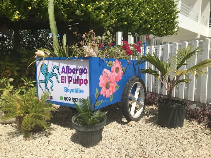 Bayahibe Hotel El Pulpo