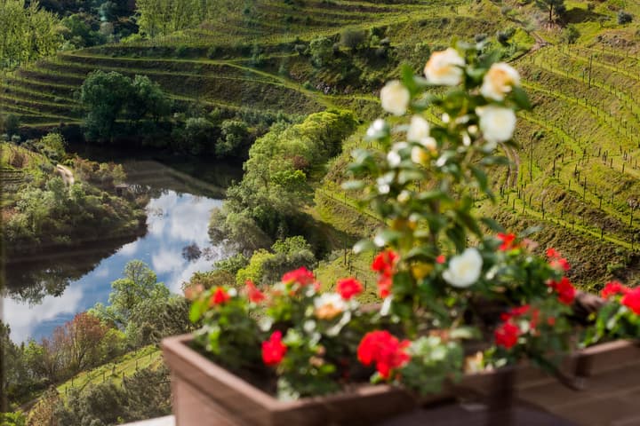 Vila Gale Douro Vineyards Hotel