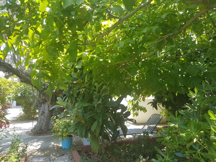 Pension Zoi