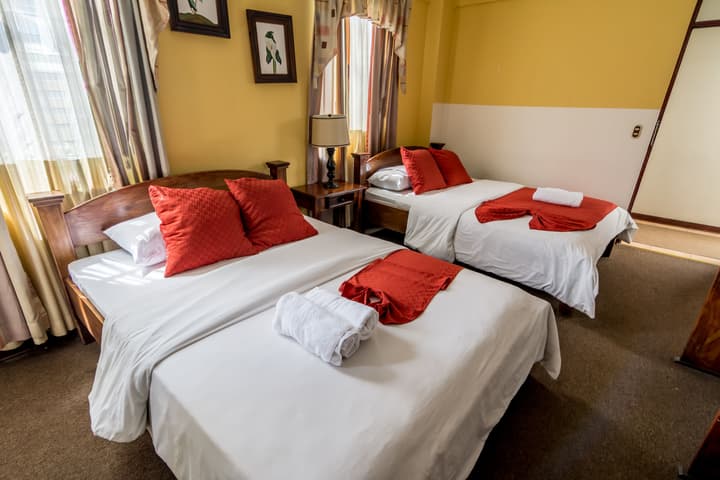 Hotel Amón Real
