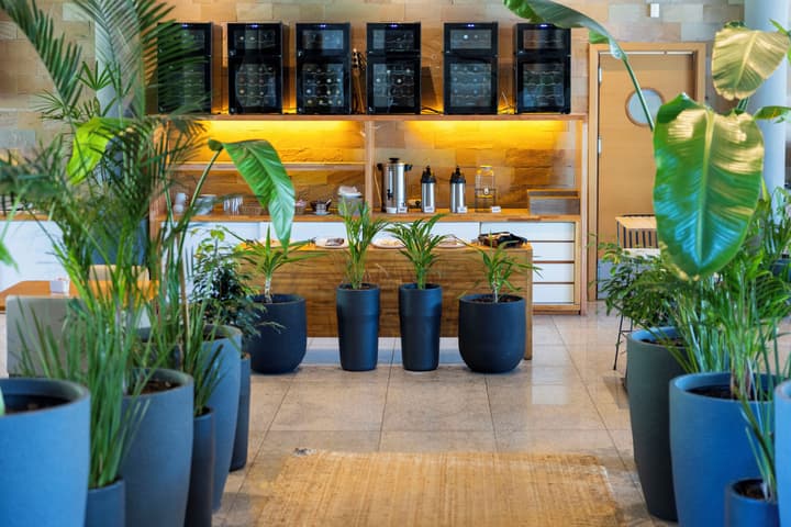 Park Hotel - Punta del Este