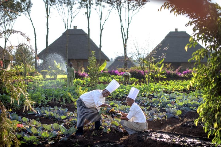 Neptune Ngorongoro Luxury Lodge