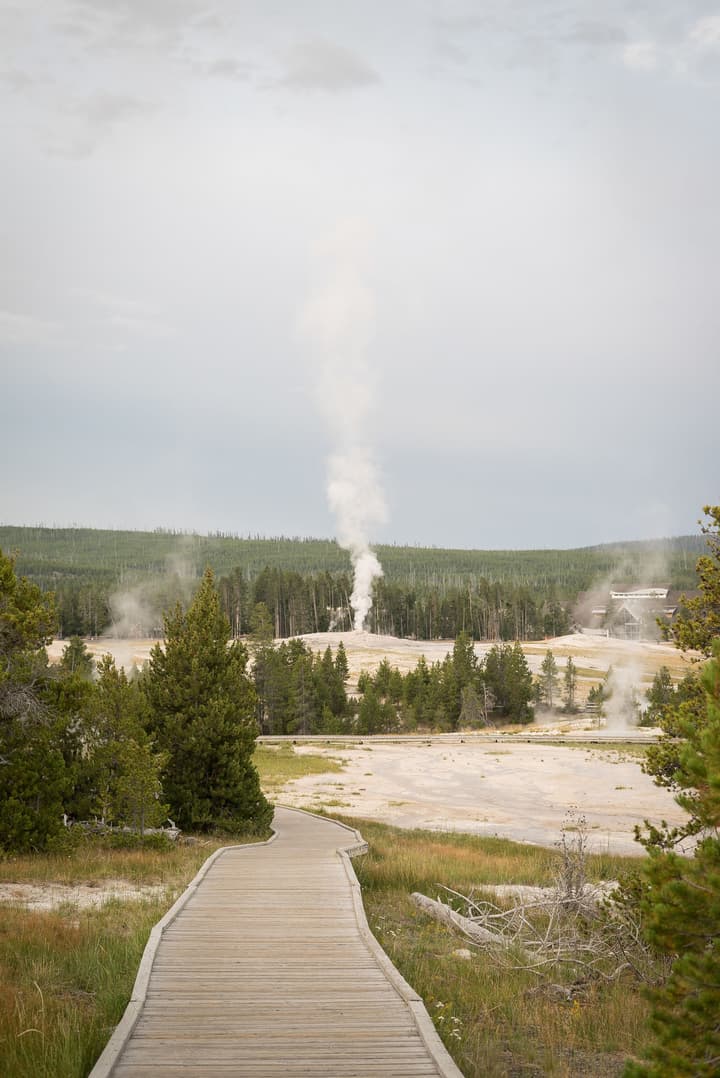 Under Canvas West Yellowstone