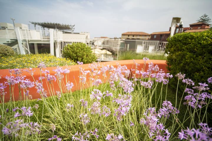 Hotel Malavoglia