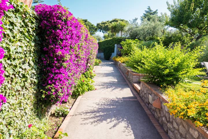 Villa Ceselle
