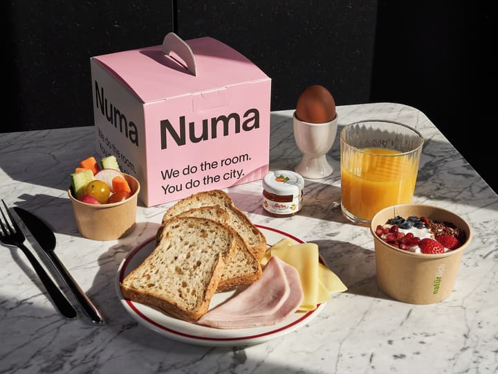 Numa Berlin Boxer
