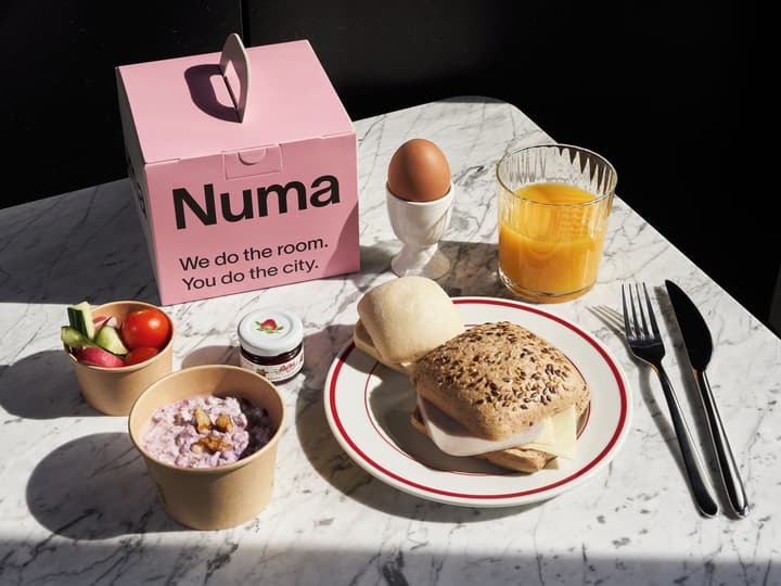 Numa Berlin Boxer