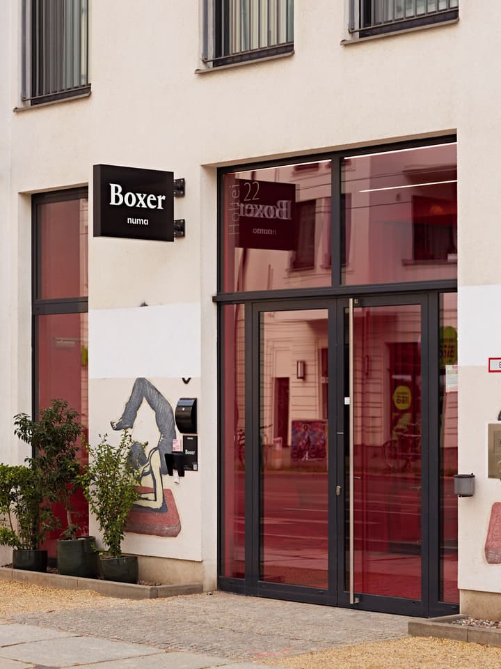 Numa Berlin Boxer