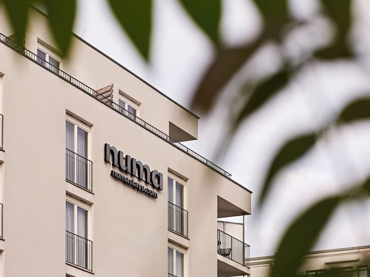 Numa Berlin Boxer
