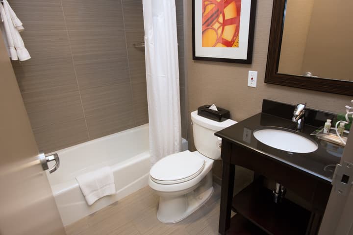 Holiday Inn NYC - Lower East Side by IHG