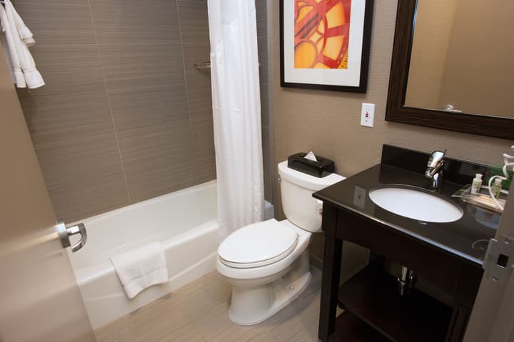 Holiday Inn NYC - Lower East Side by IHG
