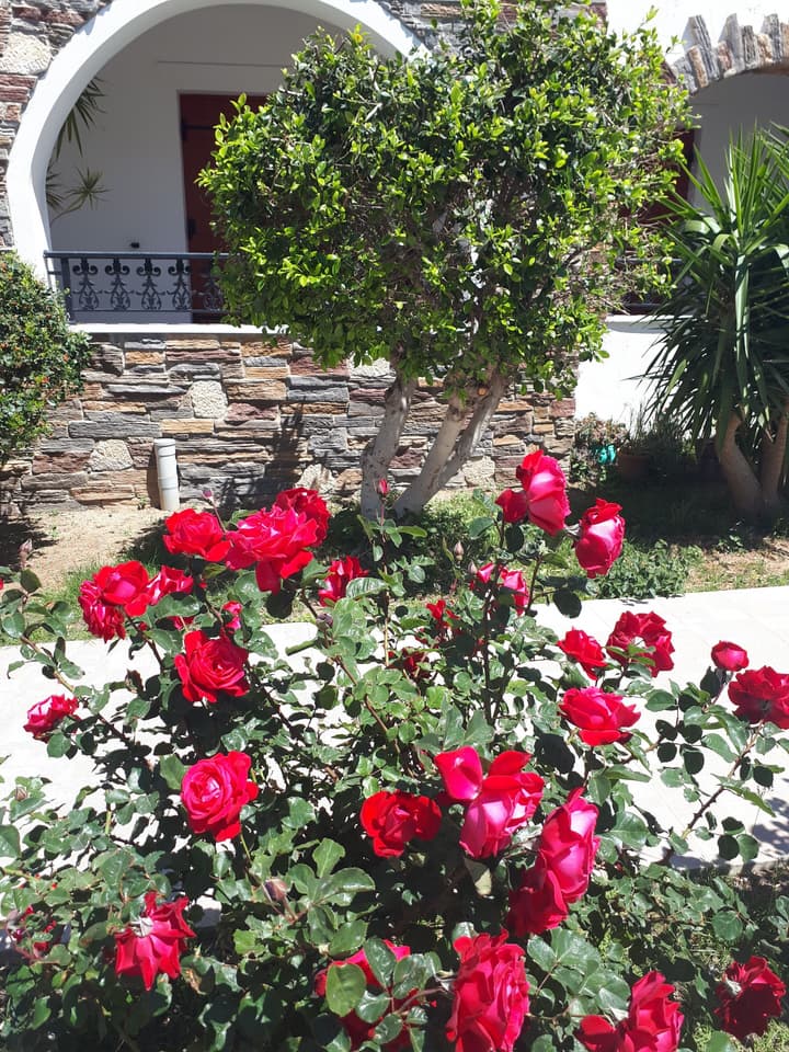 Annita's Village Hotel