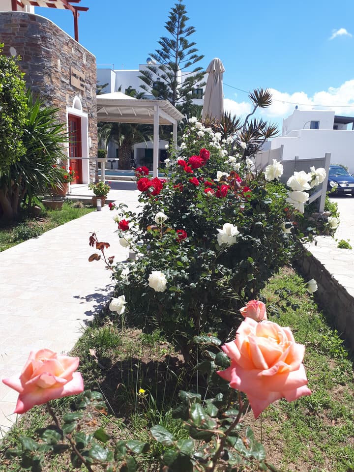 Annita's Village Hotel