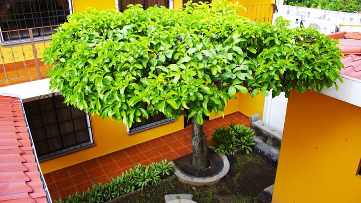 Hotel Villa Terra