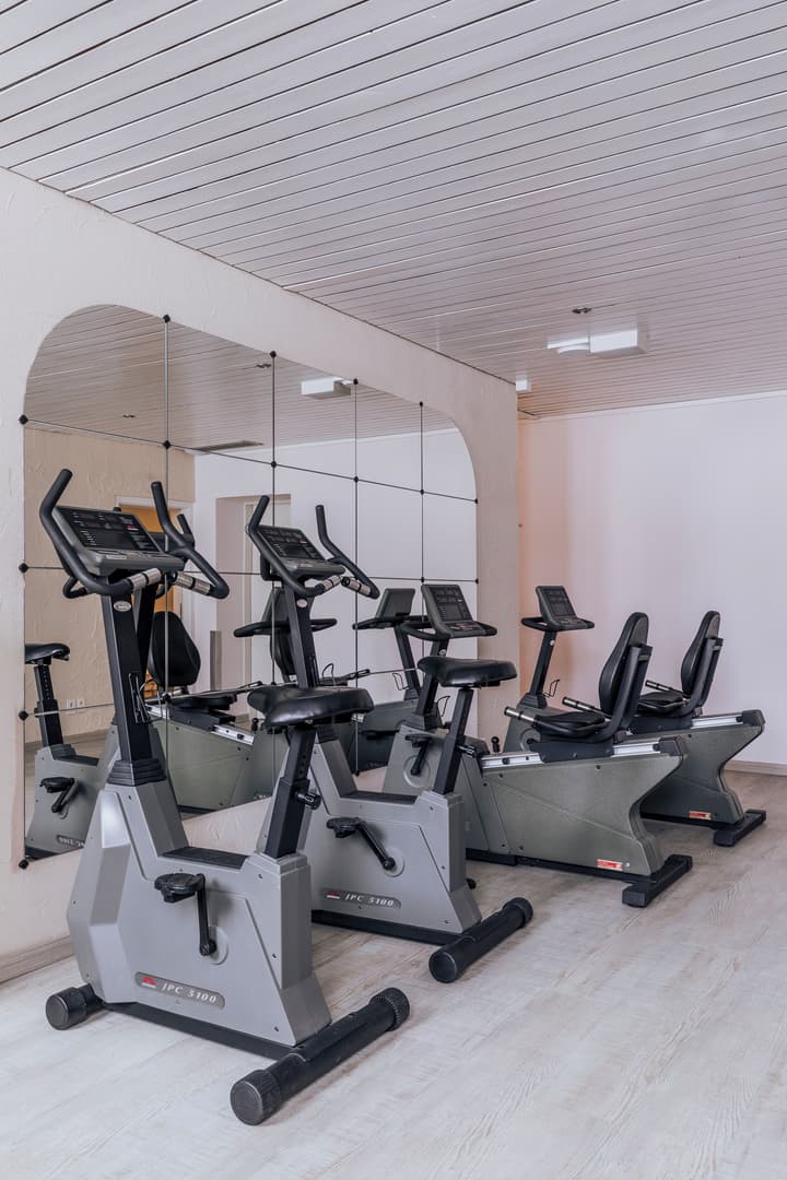 Hotel Altein Arosa, a Faern Collection Resort