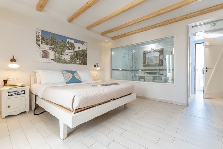 Naxos Island Hotel