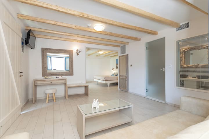 Naxos Island Hotel