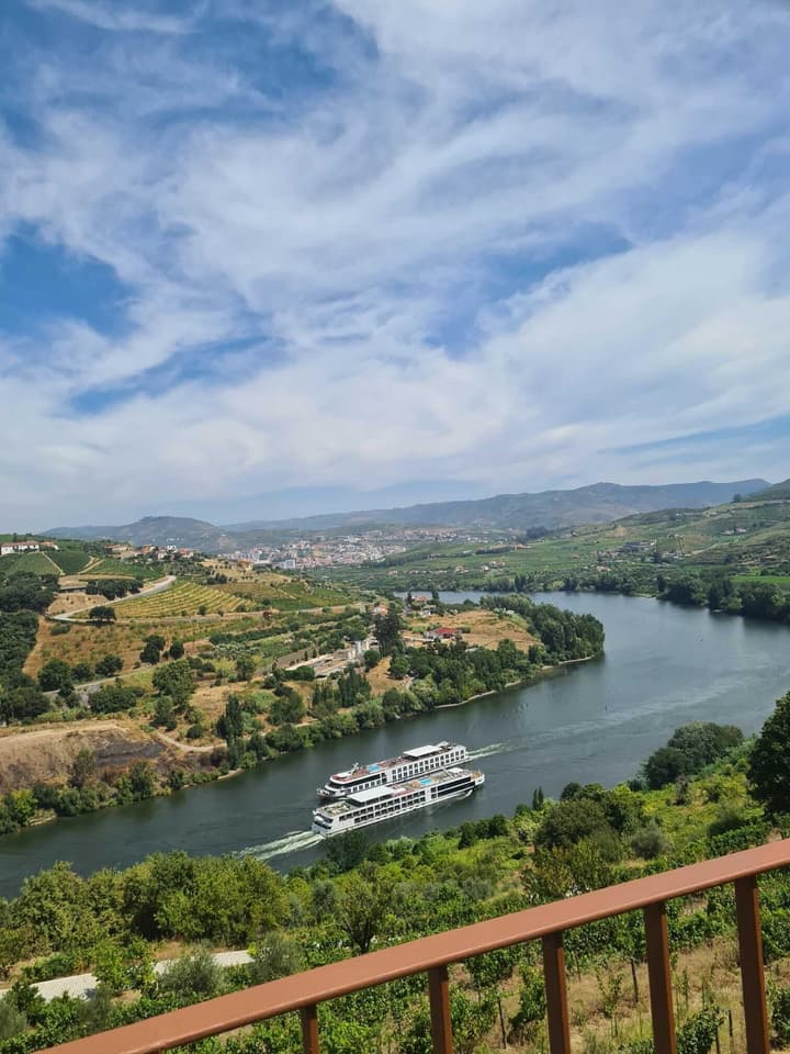 Delfim Douro Hotel