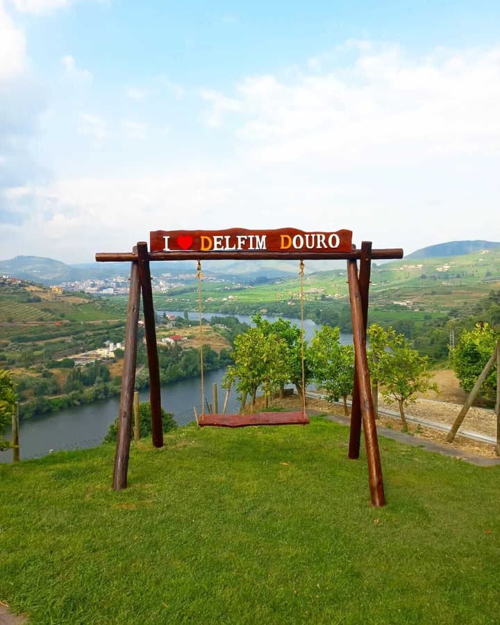 Delfim Douro Hotel