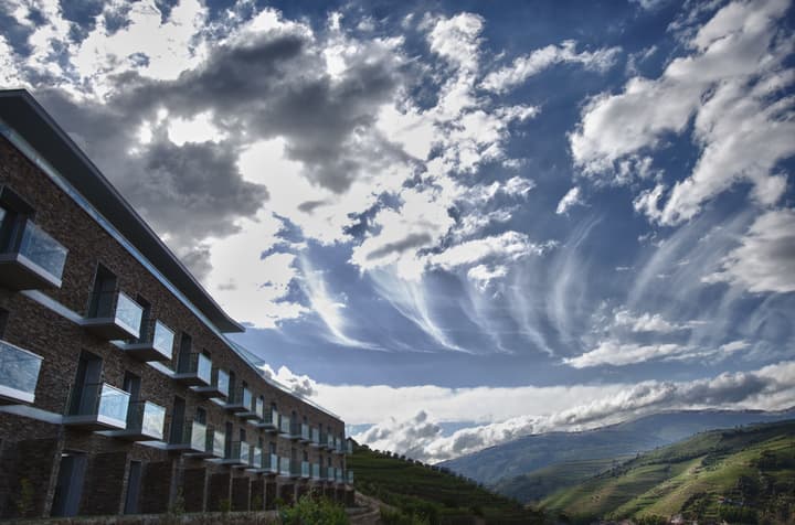 Delfim Douro Hotel
