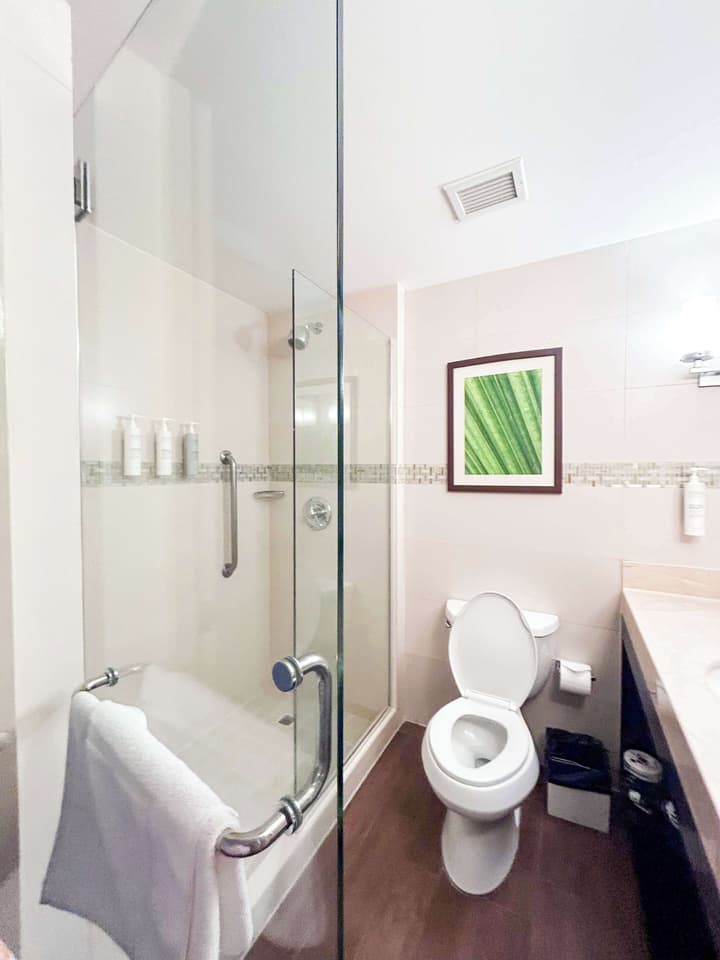 Hilton Garden Inn Panama City Downtown, Panama